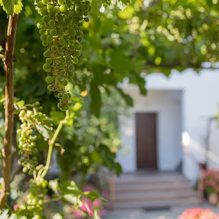 Guest house Gatzea Eden Garden 3*