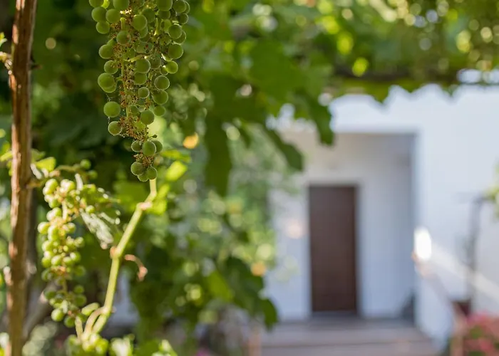 Guest house Gatzea Eden Garden 3*